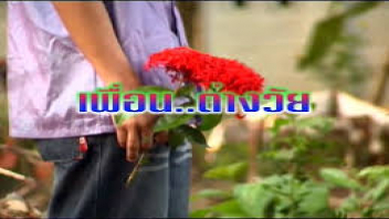 ไทยเย็ดกัน เย็ดเปิดซิง เย็ดหีเพื่อน เย็ดมันๆ เย็ดคาชุด